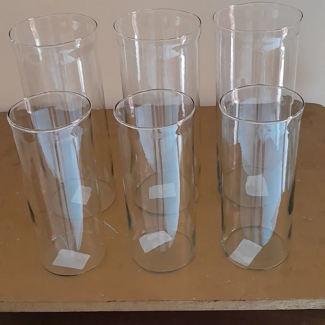 Vaso de vidro da Luzia Flor