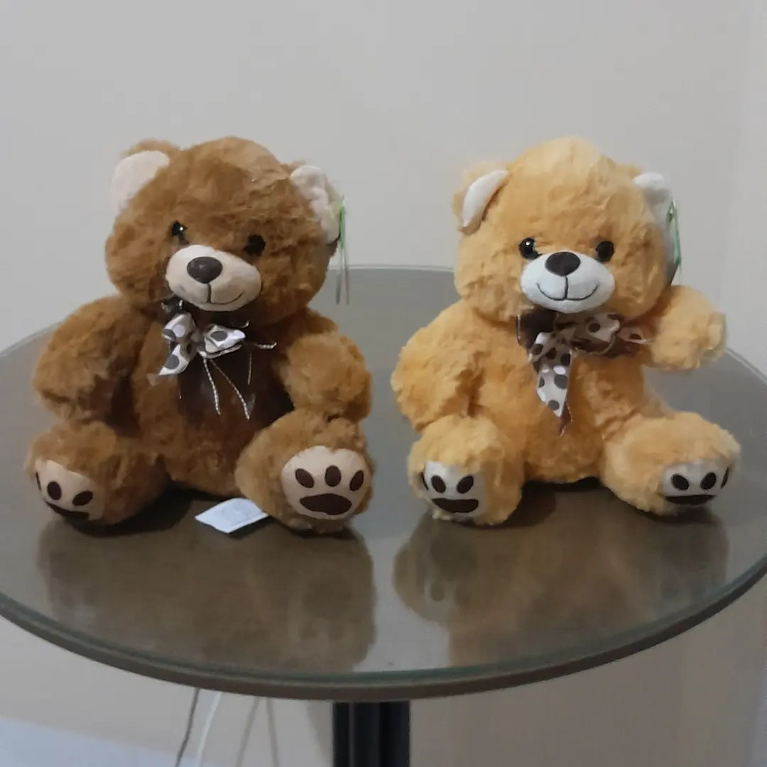 Urso de pelúcia da Luzia Flor