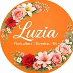 Foto do perfil @luzia.floricultura